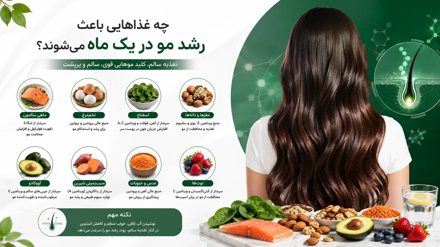 چه غذاهایی باعث رشد مو در یک ماه میشوند